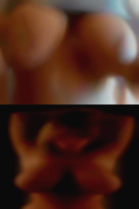 IL looks for and sex.